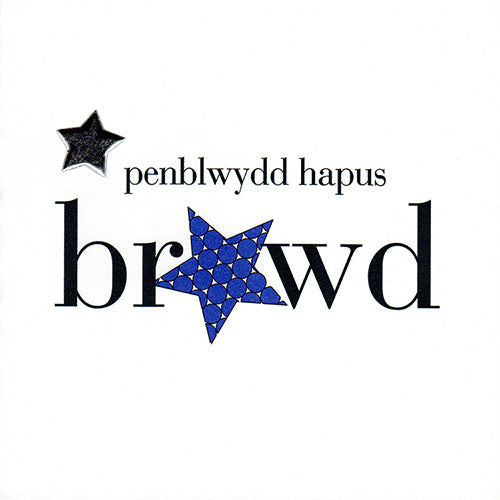 Welsh Birthday Card, Penblwydd Hapus, Brawd, Brother, padded star embellished