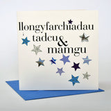 Welsh Congratulations Grandparents Card, Tadcu & Mamgu, padded star embellished