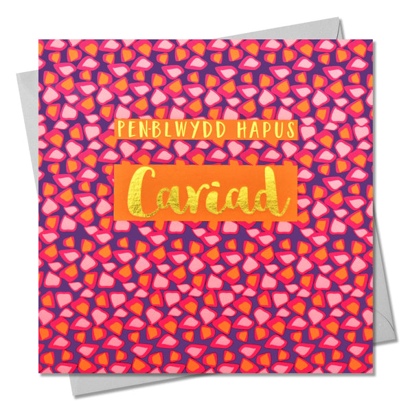 Welsh Birthday Card, Penblwydd Hapus Girlfriend, text foiled in shiny gold