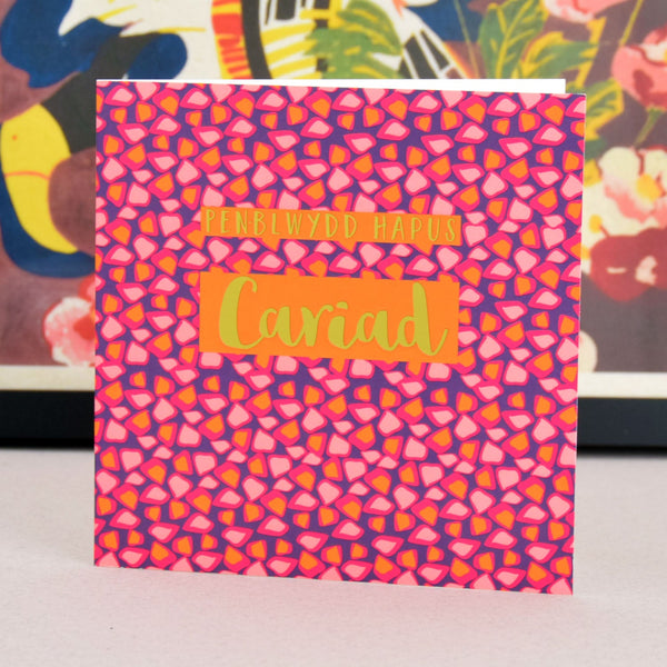 Welsh Birthday Card, Penblwydd Hapus Girlfriend, text foiled in shiny gold