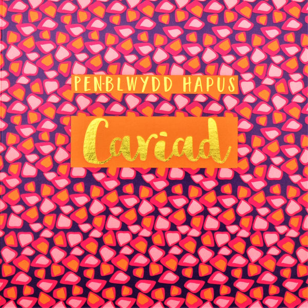 Welsh Birthday Card, Penblwydd Hapus Girlfriend, text foiled in shiny gold