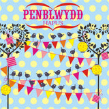 Welsh Birthday Card, Penblwydd Hapus, Bird Party, Happy Birthday