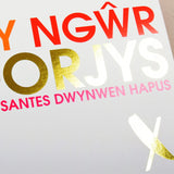 Welsh Valentines Day Card, Gorgeous Husband, text foiled in shiny gold