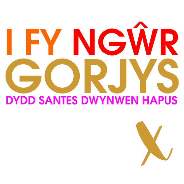 Welsh Valentines Day Card, Gorgeous Husband, text foiled in shiny gold