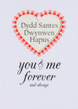 Welsh Valentine's Day Card, You and Me Forever, See through acetate window