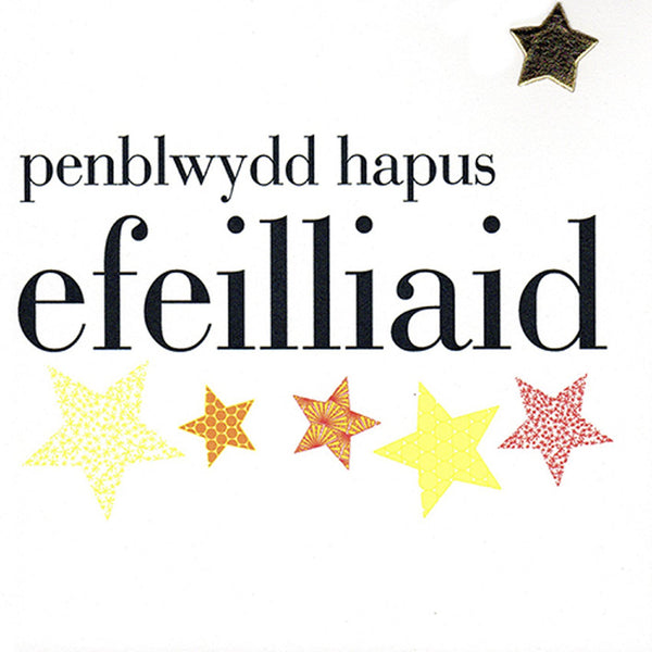 Welsh Birthday Twins Card, Penblwydd Hapus, Stars, padded star embellished